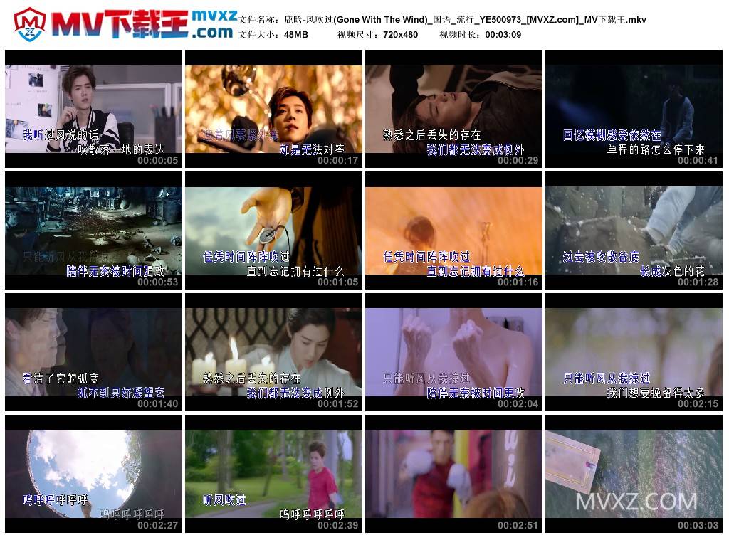 鹿晗-风吹过(Gone With The Wind)_国语_流行_YE500973